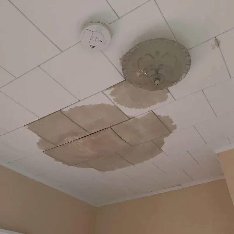 Ceiling Water Damage Repair in Rockwell, AR