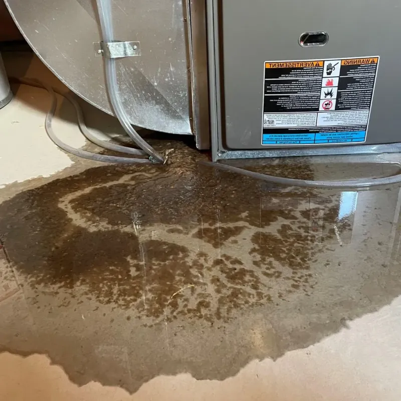 Pipe Burst and Leak Restoration in Rockwell, AR