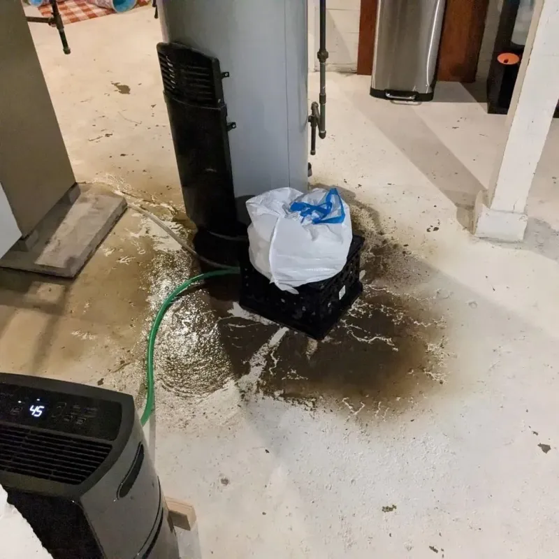 Sewage Backup Cleanup Service in Rockwell, AR
